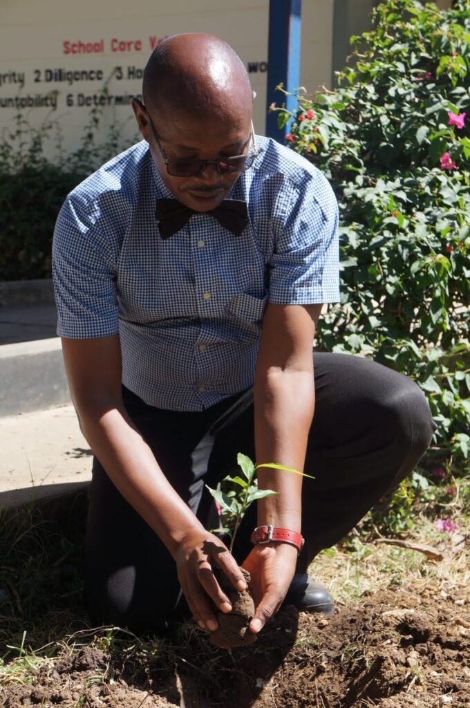 Environmental change and Project