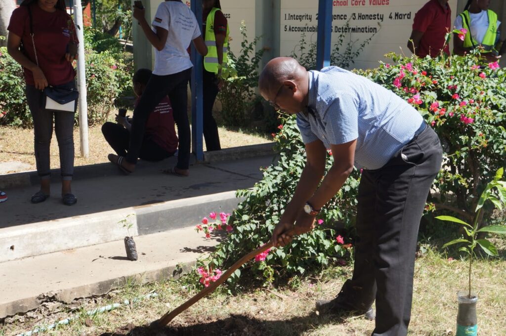 Environmental change and Project