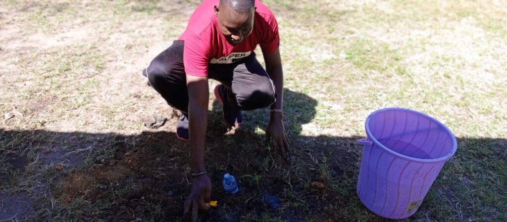 Environmental change and Project