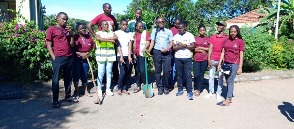 Environmental change and Project
