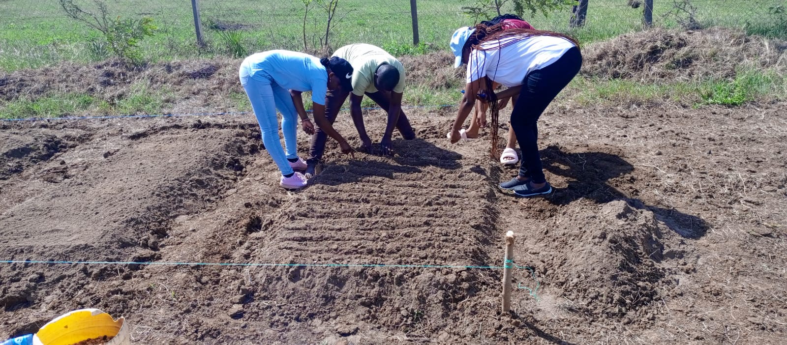 Climate change action