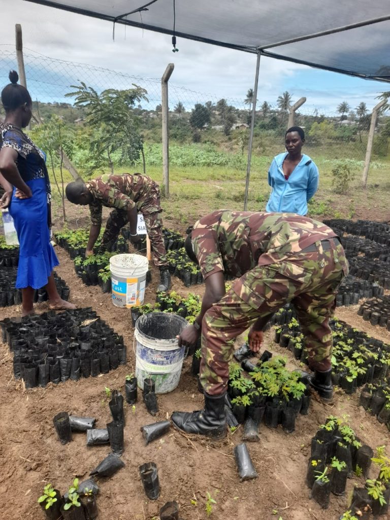Donation of Free Seedlings